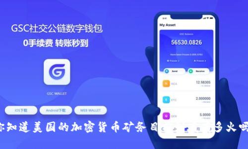 你知道美国的加密货币矿务目前到底有多火吗？