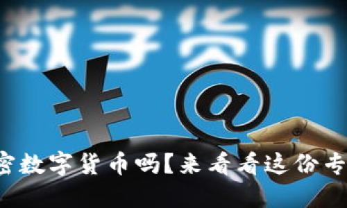 你了解加密数字货币吗？来看看这份专业解说吧！