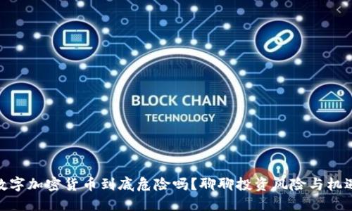 数字加密货币到底危险吗？聊聊投资风险与机遇