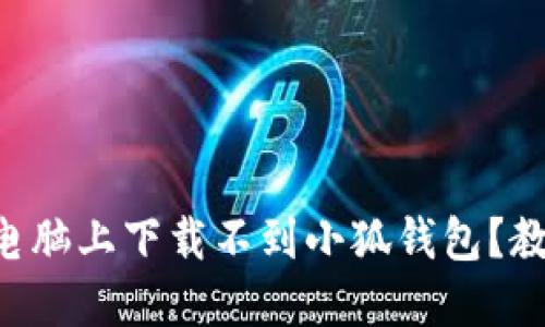 为什么我的电脑上下载不到小狐钱包？教你轻松解决！