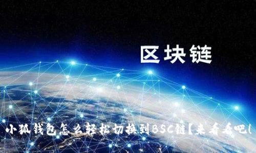 小狐钱包怎么轻松切换到BSC链？来看看吧！