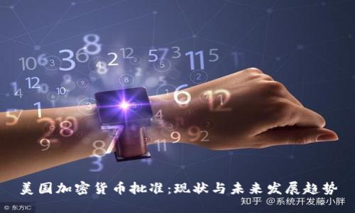 美国加密货币批准：现状与未来发展趋势
