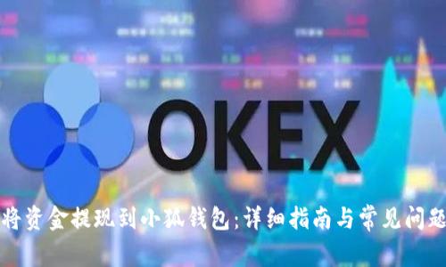 如何将资金提现到小狐钱包：详细指南与常见问题解答