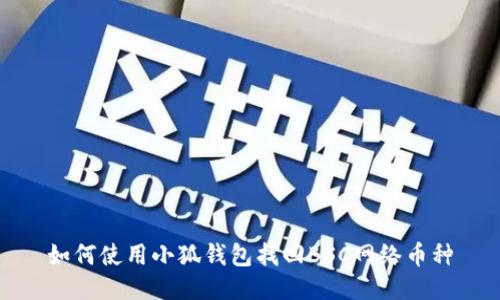 如何使用小狐钱包找回BSC网络币种