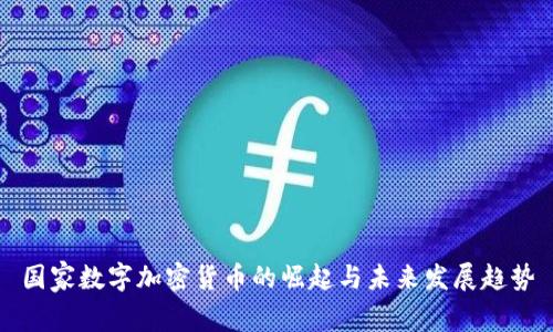 国家数字加密货币的崛起与未来发展趋势
