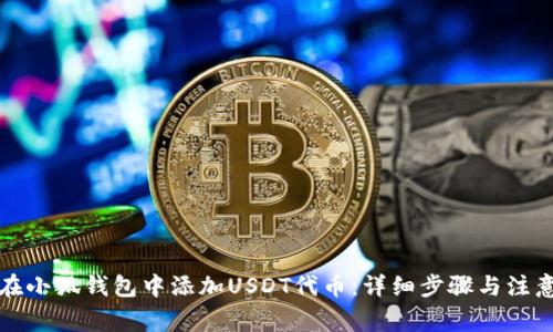 如何在小狐钱包中添加USDT代币：详细步骤与注意事项