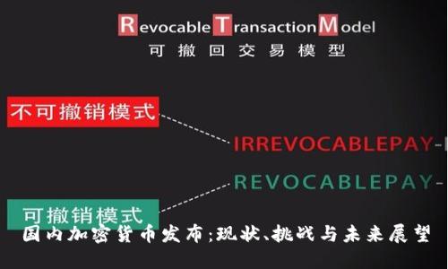 国内加密货币发布：现状、挑战与未来展望