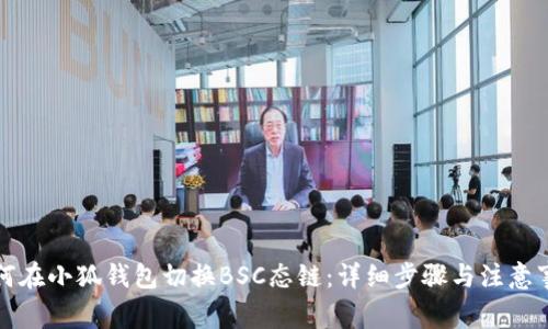 如何在小狐钱包切换BSC态链：详细步骤与注意事项