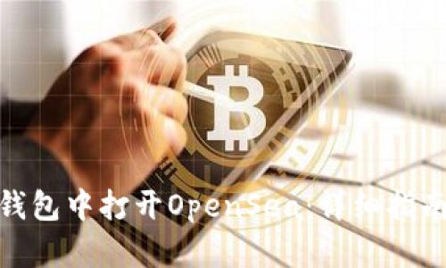 如何在小狐钱包中打开OpenSea：详细指南与操作步骤