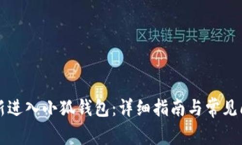 怎样重新进入小狐钱包：详细指南与常见问题解答