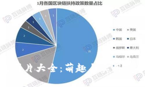狐狸玩偶钱包图片大全：萌趣与实用兼备的精美选择