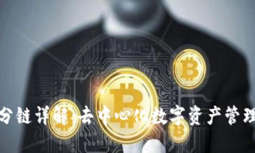 小狐钱包分链详解：去中心化数字资产管理的新选择