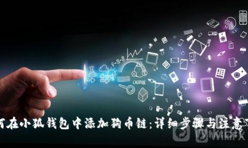 如何在小狐钱包中添加狗币链：详细步骤与注意事项