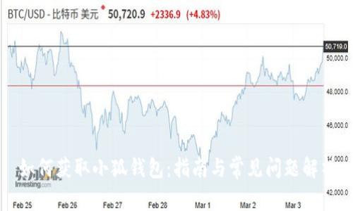 如何获取小狐钱包：指南与常见问题解析