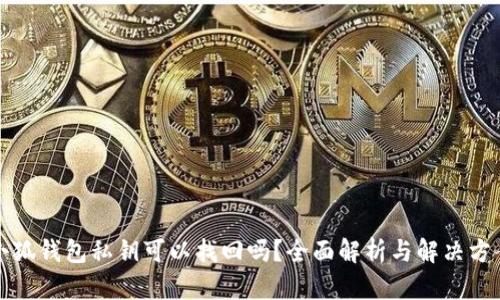 小狐钱包私钥可以找回吗？全面解析与解决方案