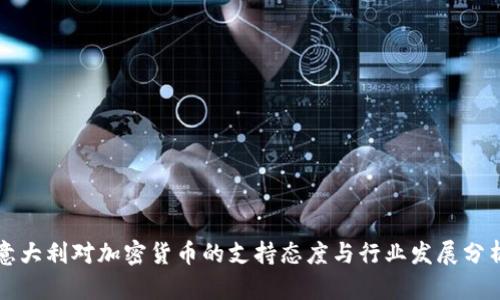 意大利对加密货币的支持态度与行业发展分析