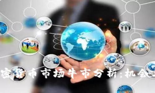 2024年加密货币市场牛市分析：机会与风险并存