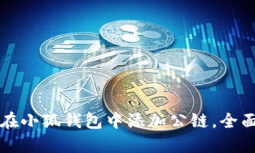 如何在小狐钱包中添加公链，全面指南