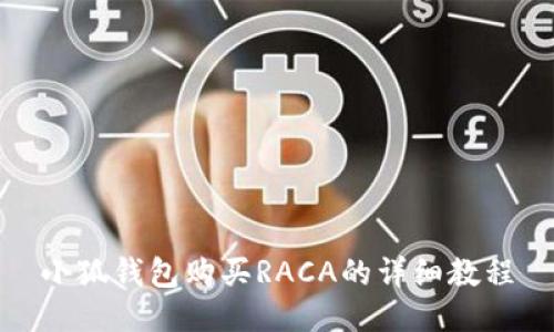小狐钱包购买RACA的详细教程