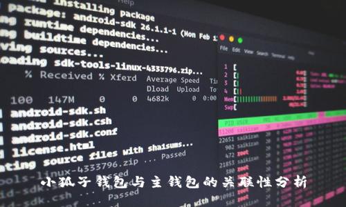 小狐子钱包与主钱包的关联性分析