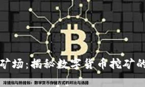 加密货币矿场：揭秘数字货币挖矿的幕后世界