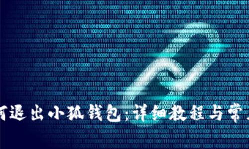 电脑版如何退出小狐钱包：详细教程与常见问题解答