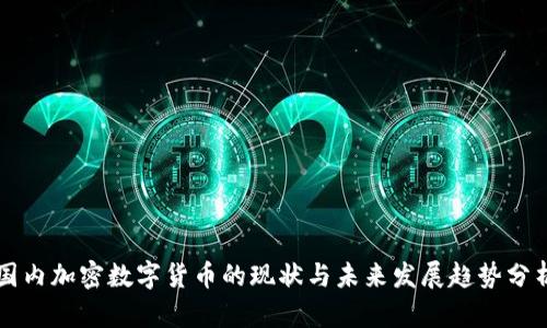 国内加密数字货币的现状与未来发展趋势分析