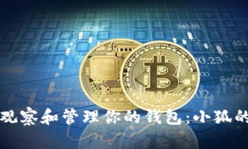 如何有效观察和管理你的钱包：小狐的实用指南