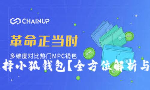 为什么选择小狐钱包？全方位解析与优势分析