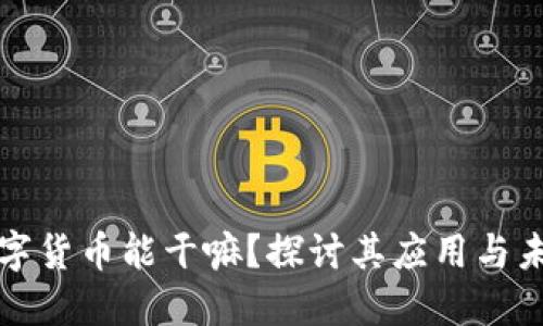 加密数字货币能干嘛？探讨其应用与未来潜力